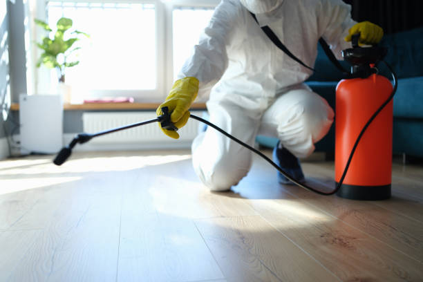 Best Emergency Pest Control  in Belding, MI